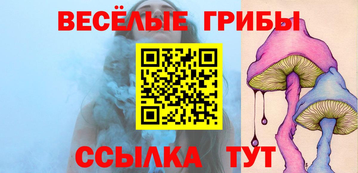 Новокуйбышевск  Псилоцибиновые грибы Cubensis  Вход с VPN 