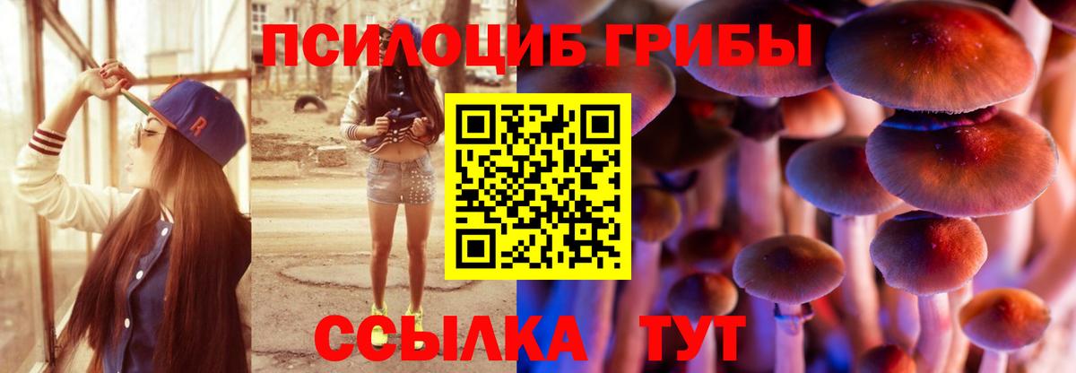 Галлюциногенные грибы Magic Shrooms Новокуйбышевск