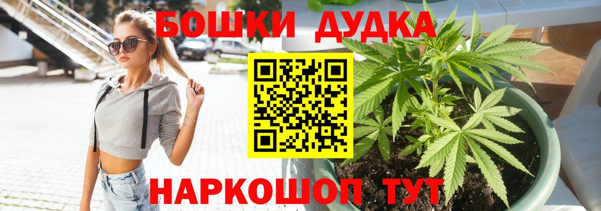 Конопля марихуана Новокуйбышевск